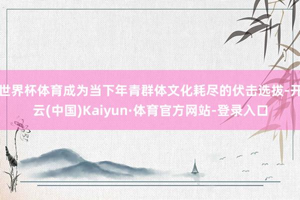 世界杯体育成为当下年青群体文化耗尽的伏击选拔-开云(中国)Kaiyun·体育官方网站-登录入口