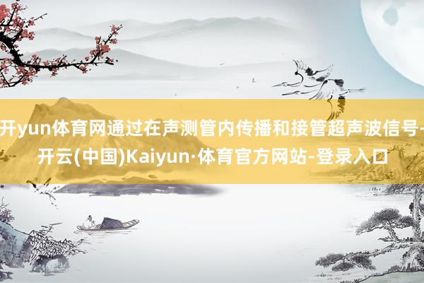 开yun体育网通过在声测管内传播和接管超声波信号-开云(中国)Kaiyun·体育官方网站-登录入口