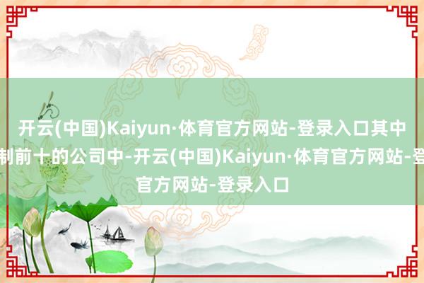 开云(中国)Kaiyun·体育官方网站-登录入口其中核减限制前十的公司中-开云(中国)Kaiyun·体育官方网站-登录入口
