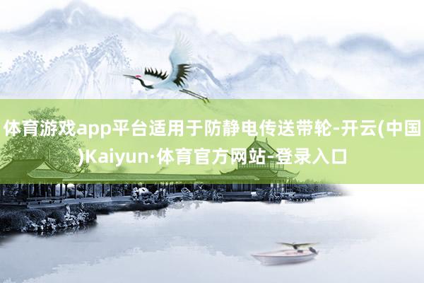 体育游戏app平台适用于防静电传送带轮-开云(中国)Kaiyun·体育官方网站-登录入口