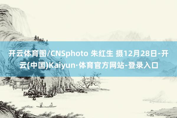 开云体育图/CNSphoto 朱红生 摄12月28日-开云(中国)Kaiyun·体育官方网站-登录入口